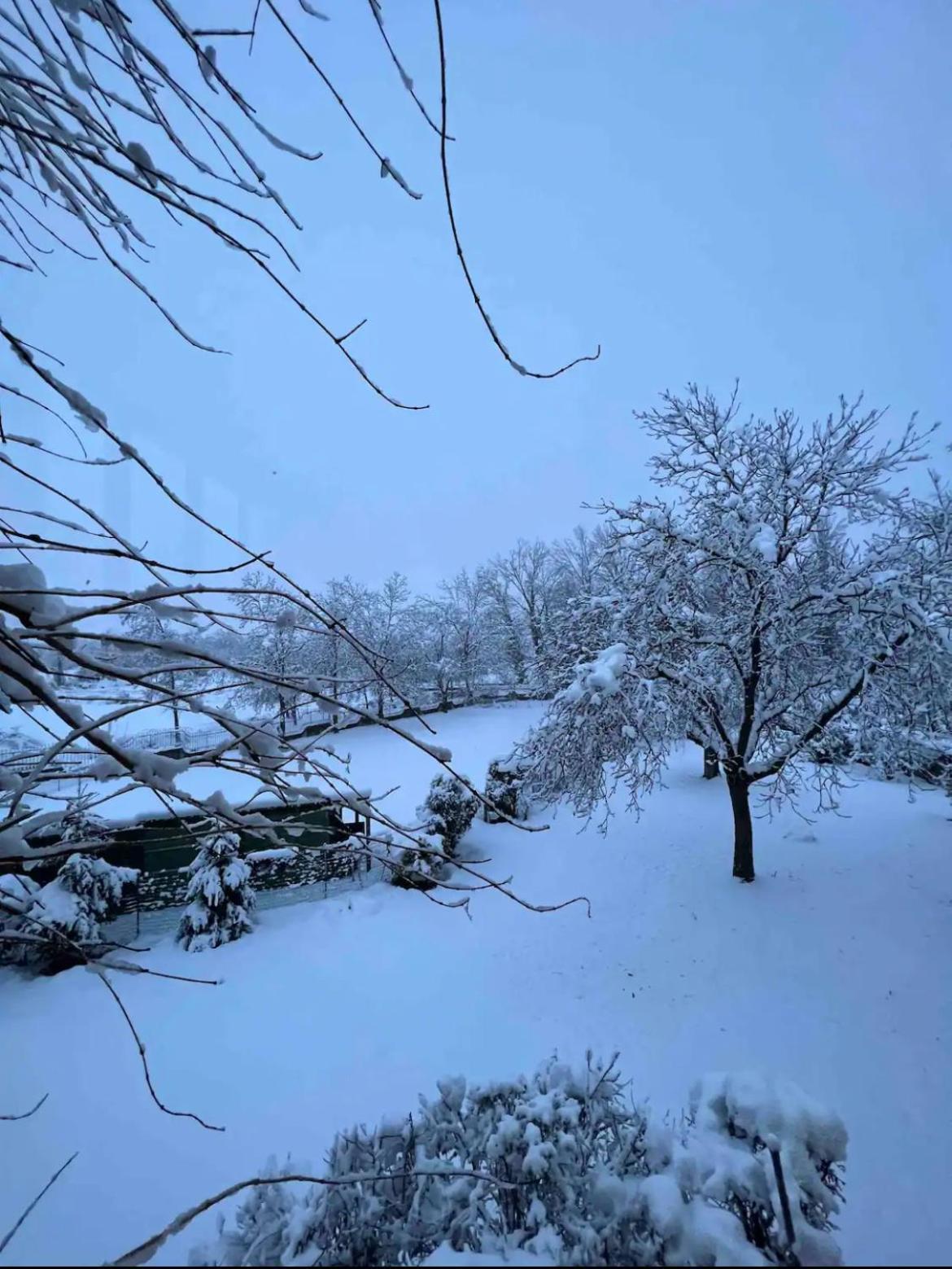סולמונה Villa Alberto מראה חיצוני תמונה