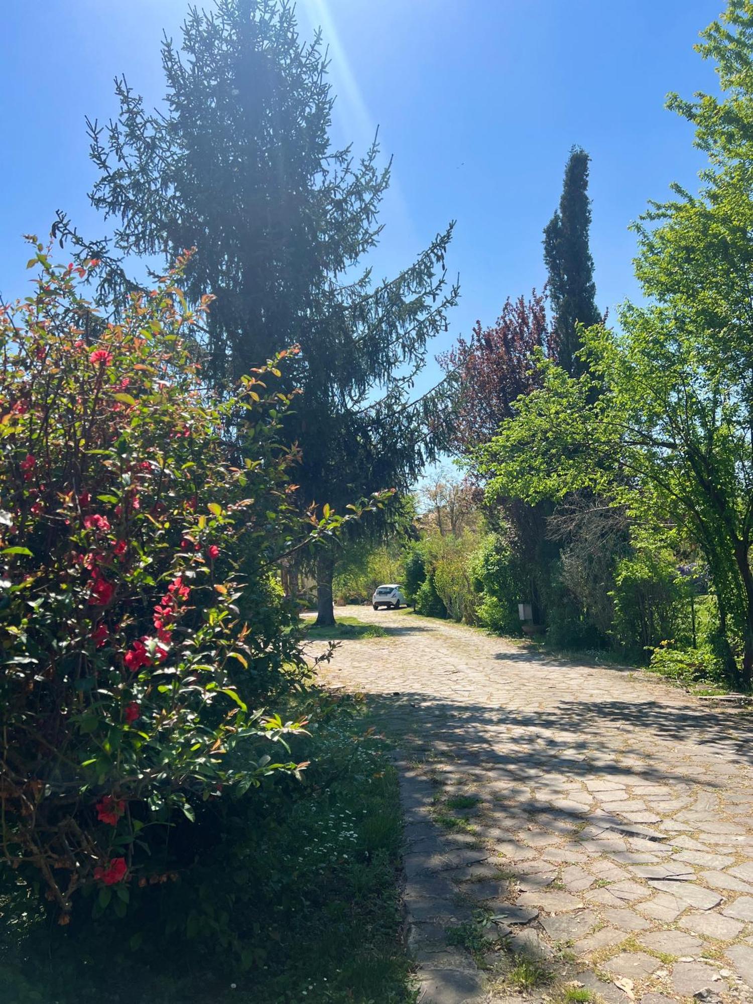 סולמונה Villa Alberto מראה חיצוני תמונה